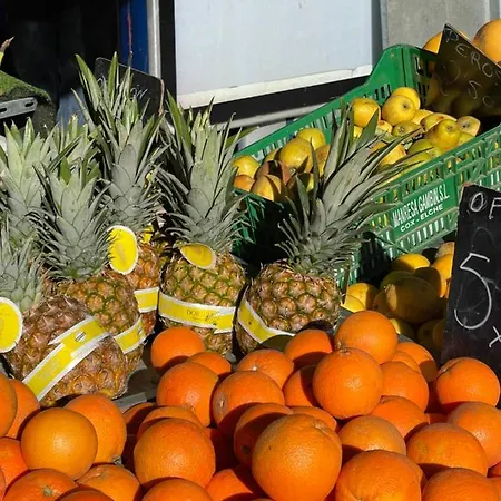 Dreamview Lejlighed *