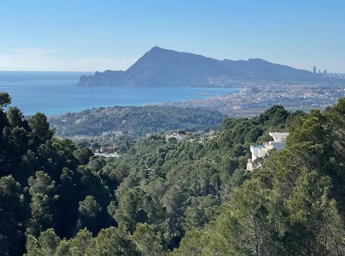 Dreamview * アルテア