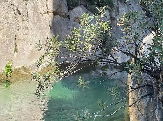 Dreamview アパート アルテア