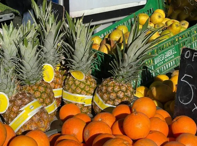 Dreamview Apartmán *